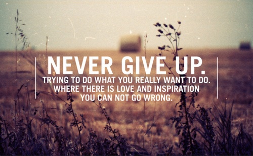 Never-give-up.-Trying-to-do-what-you-really-want-to-do.-Where-there-is-love-and-inspiration-you-can-not-go-wrong